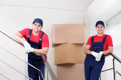 Professional packing materials for fragile items and household belongings in Ilford