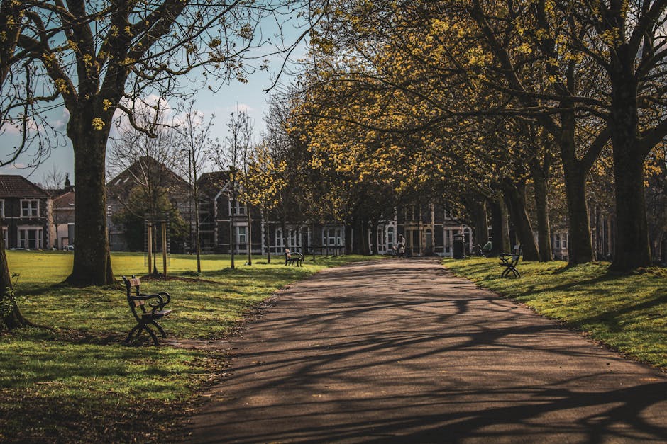 A wide pathway within Valentines Park in Ilford is visible, with a smooth asphalt surface bordered by well-maintained grassy areas. The pathway is shaded by large, mature trees on both sides, which have leaves in early spring foliage, casting intricate shadows across the ground. Several wooden benches with metal armrests and legs are positioned along the edges of the path, some facing the park's greenery, providing seating for visitors. In the background, residential houses with traditional brick facades and peaked roofs can be seen beyond the park's boundaries. The overall scene is illuminated by natural daylight, with soft shadows indicating a partially cloudy sky. This peaceful park setting showcases a typical outdoor environment where residents or visitors might pause during a home relocation or moving process, such as unloading or packing in nearby properties, with Man and a Van Ilford providing house removals and transport services in the area.