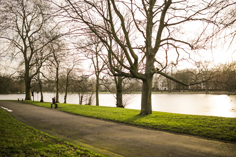 A wide pathway within Valentines Park in Ilford is visible, with a smooth asphalt surface bordered by well-maintained grassy areas. The pathway is shaded by large, mature trees on both sides, which have leaves in early spring foliage, casting intricate shadows across the ground. Several wooden benches with metal armrests and legs are positioned along the edges of the path, some facing the park's greenery, providing seating for visitors. In the background, residential houses with traditional brick facades and peaked roofs can be seen beyond the park's boundaries. The overall scene is illuminated by natural daylight, with soft shadows indicating a partially cloudy sky. This peaceful park setting showcases a typical outdoor environment where residents or visitors might pause during a home relocation or moving process, such as unloading or packing in nearby properties, with Man and a Van Ilford providing house removals and transport services in the area.